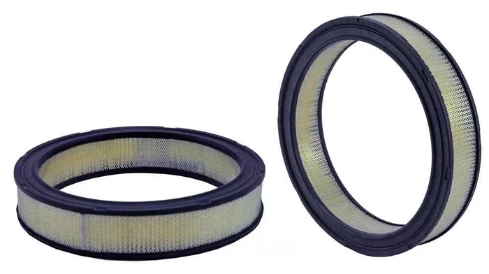 Air Filter Ford Mustang 70-86, F100 68-79, F250 70-79, Econoline 72-79 10.9 x 2.1 ” – A40090