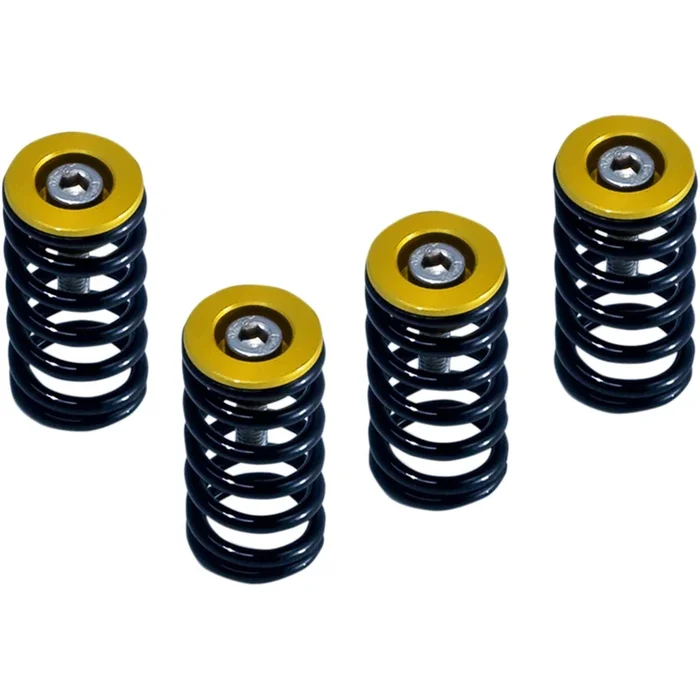 Barnett Performance Clutch Springs – Gold for Ducati [MPN: 519-25-06090]