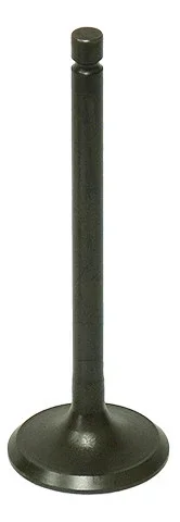 Bronco 183-09191E AU-09191E EXHAUST VALVE
