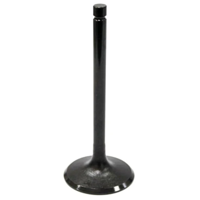 Bronco Intake Valve for Honda ATV AU-09011I