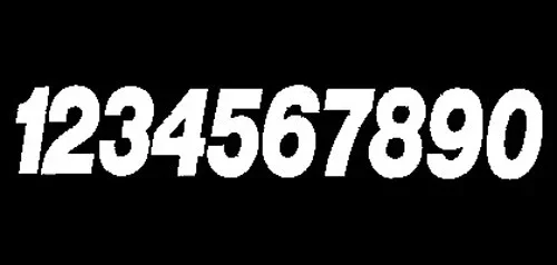 DIRT DIGITS #2 4″ WHITE PRO DIGITS 3/PK
