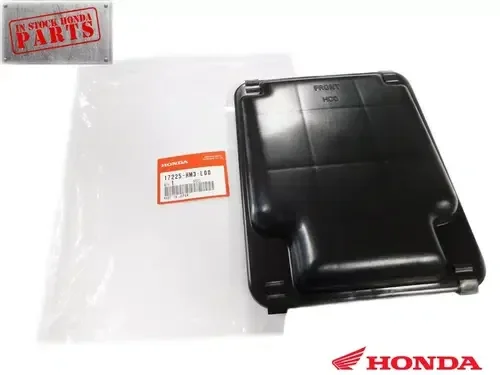 HONDA TRX300EX TRX300X TRX 300EX 300X TRX250X 250X AIR BOX LID TOP COVER 87-09