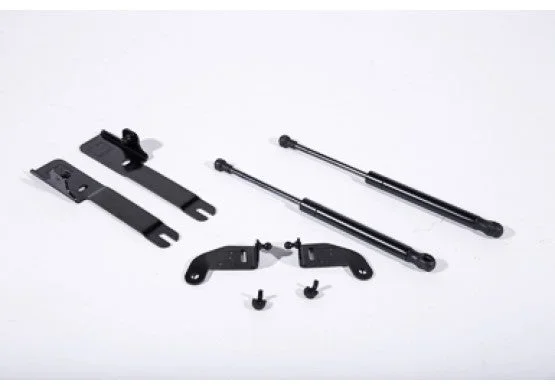 Hood Strut Kit (US IMPORTS ONLY) for Mustang 2015-23 | #422043 | Roush