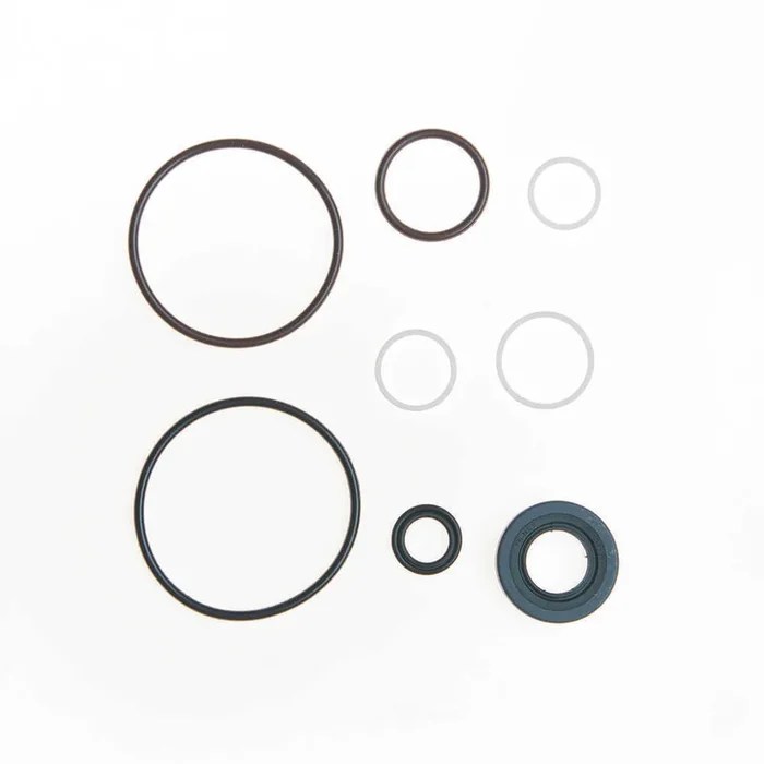 Power Steering Pump Seal Kit – Ford Econoline 02-07, F150 F250 97-08, Mustang 96-09, Thunderbird 94-97 8634