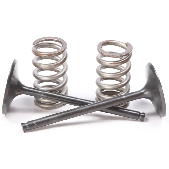ProX Steel Intake Valve/Spring Kit [MPN: 28.SIS6351-2]