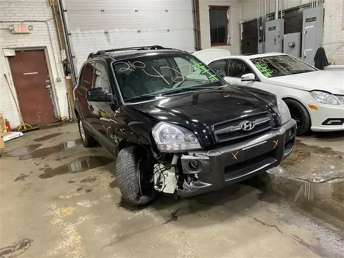 SUNROOF ASSEMBLY Hyundai Tucson 05 06 07 08 09 – 1103870